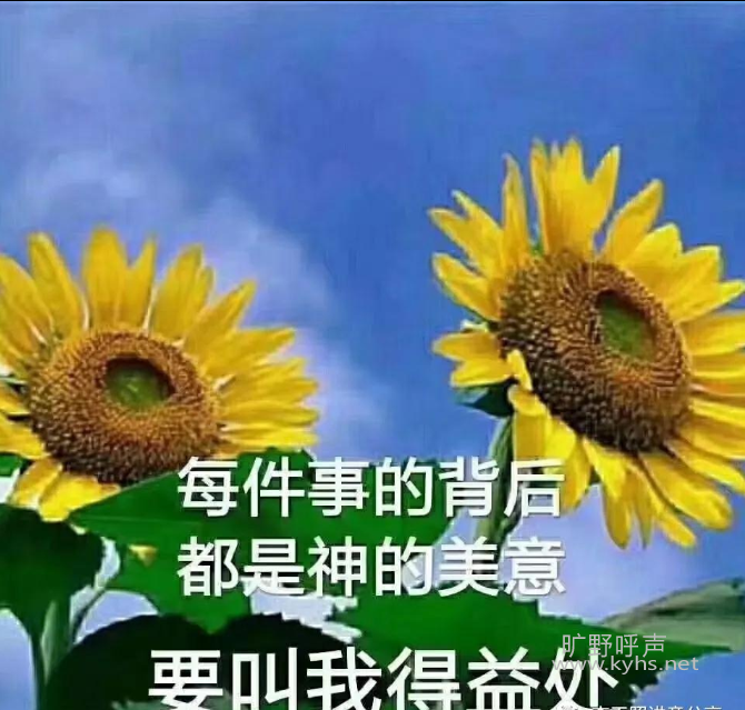 �������������������