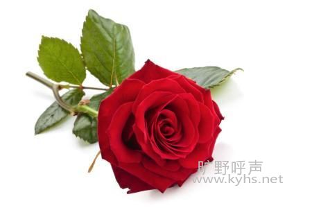 u=3964695839,3698014663&fm=26&gp=0.jpg