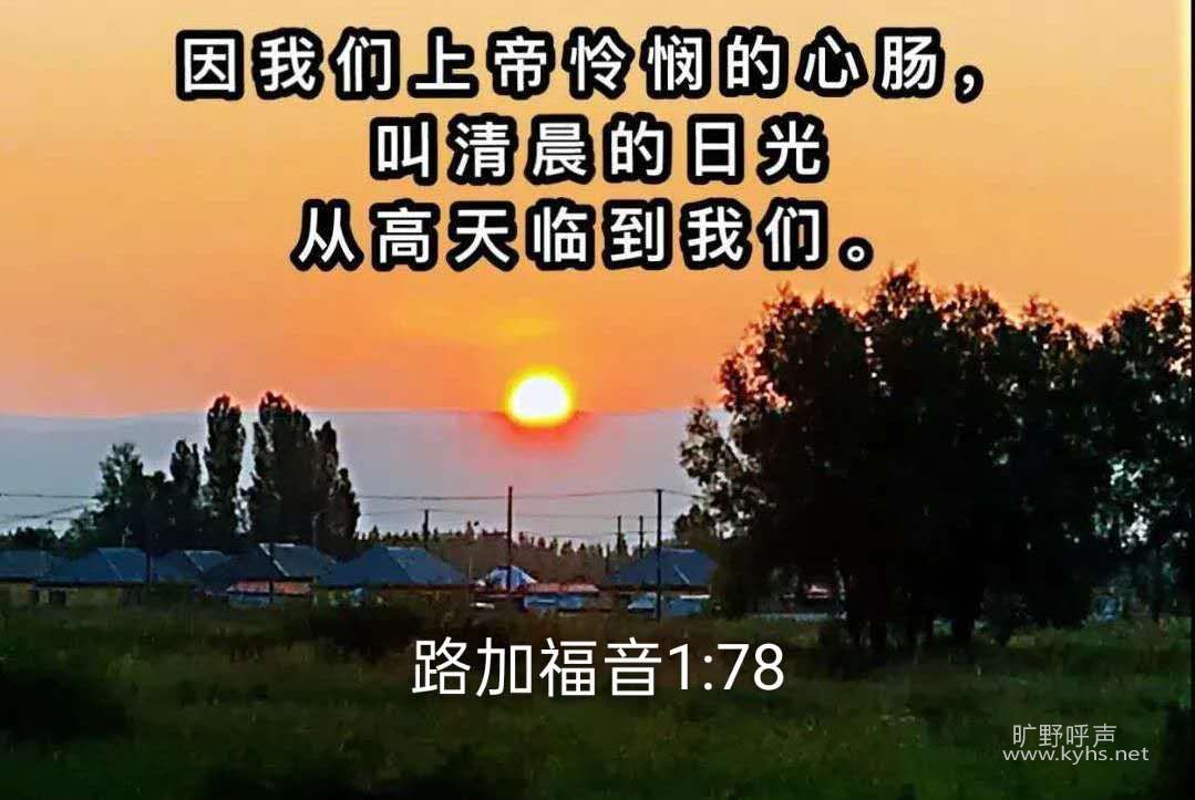 ���׺δ������