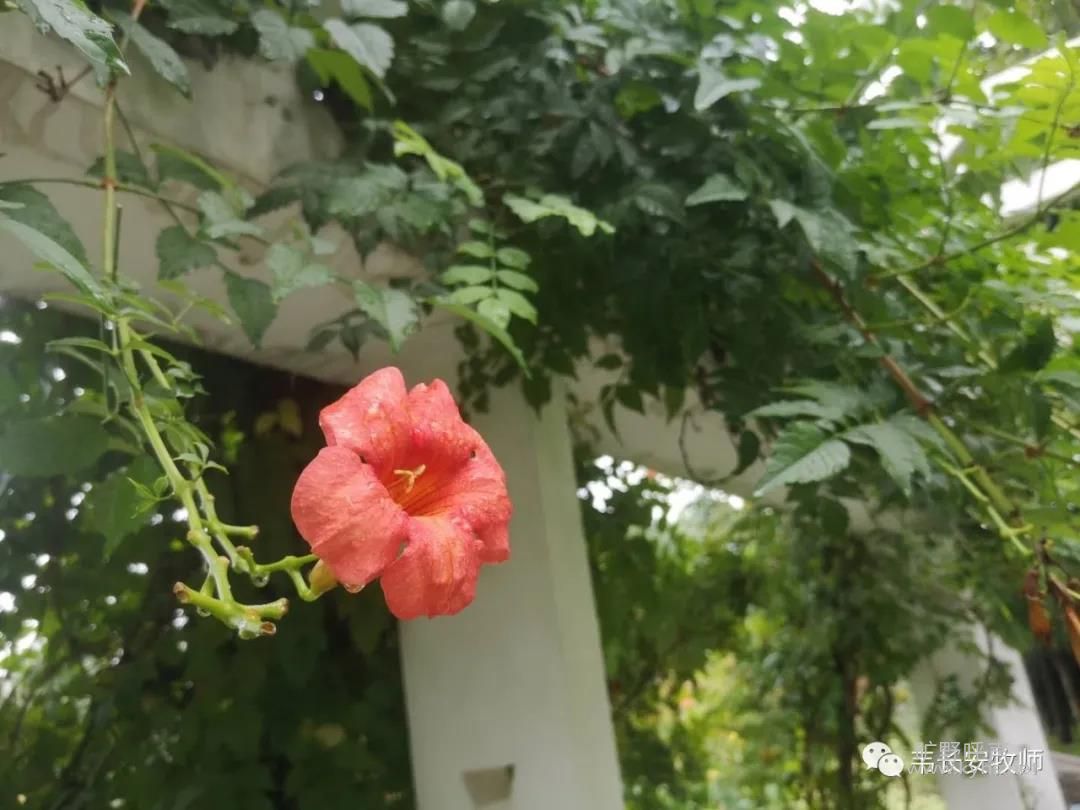 �߳������İ˸�����