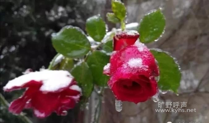 �һ�û�����ʱ��