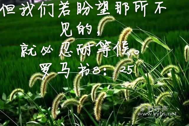   ��Ͷ��·ʱ��ô�죿