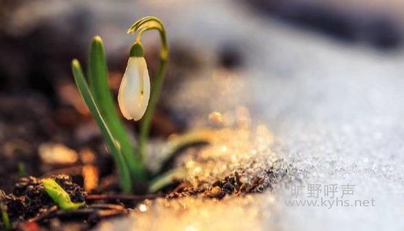 ΢��ͼƬ_20200915191331.jpg