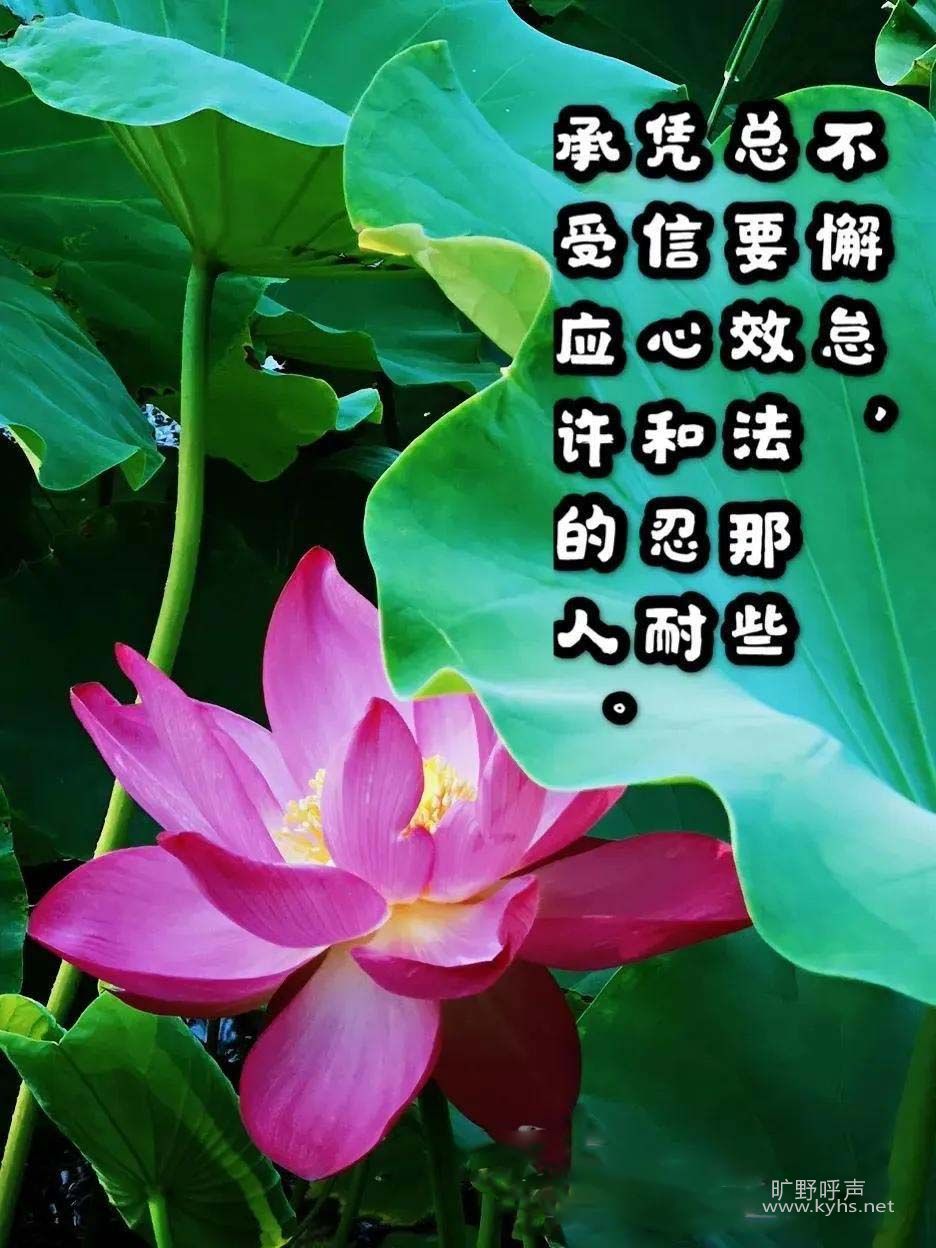 ԭ�²�����