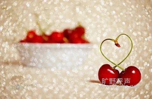 �����۵İ�