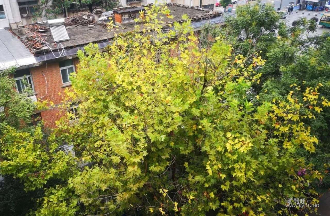 ΢��ͼƬ_20200925202009.jpg
