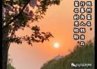 һ�����������ѣ������˺������Լ��˷�Ƣ����