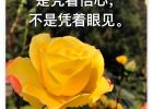 �����ж೤ʱ��ûЦ�ˣ�