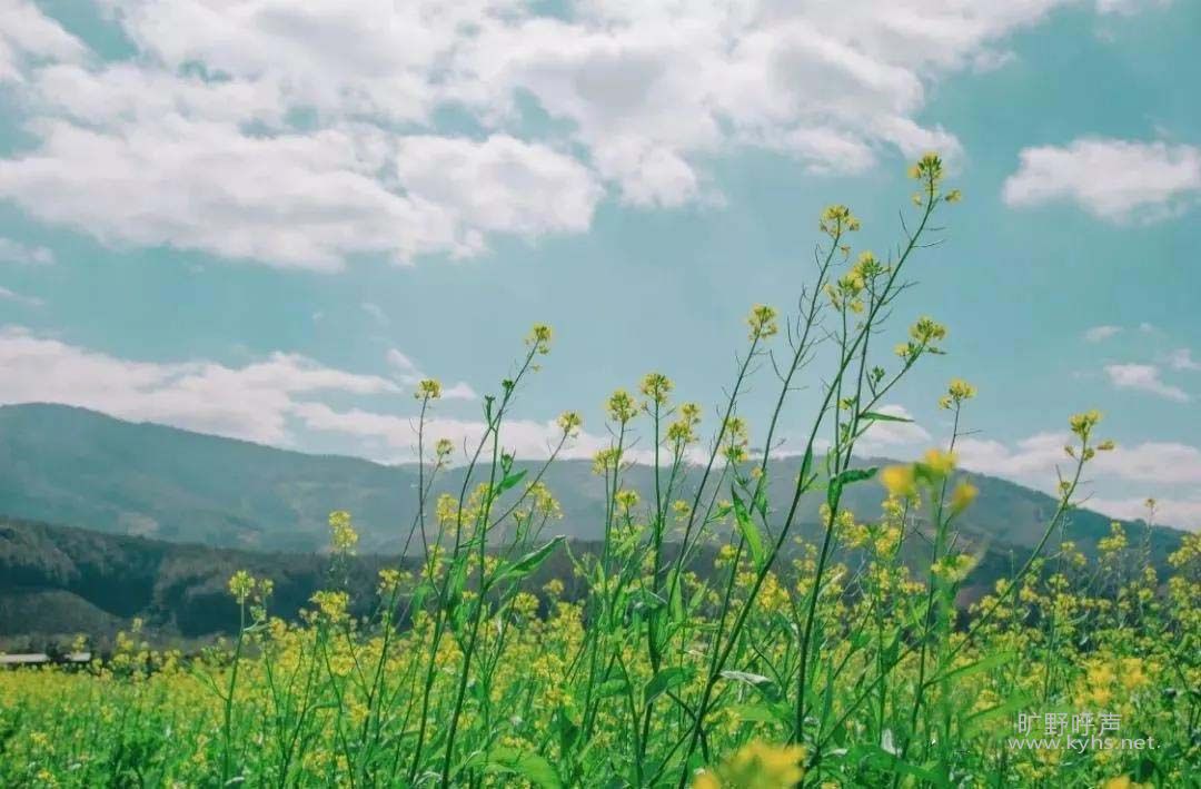 �ڻ������������