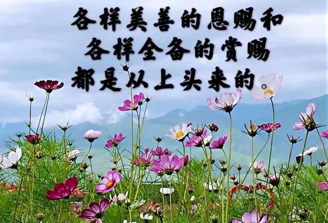 Ů�˵������꣬ ���Ŀ�ɽ��ʵ���ǻ��������ǡ���