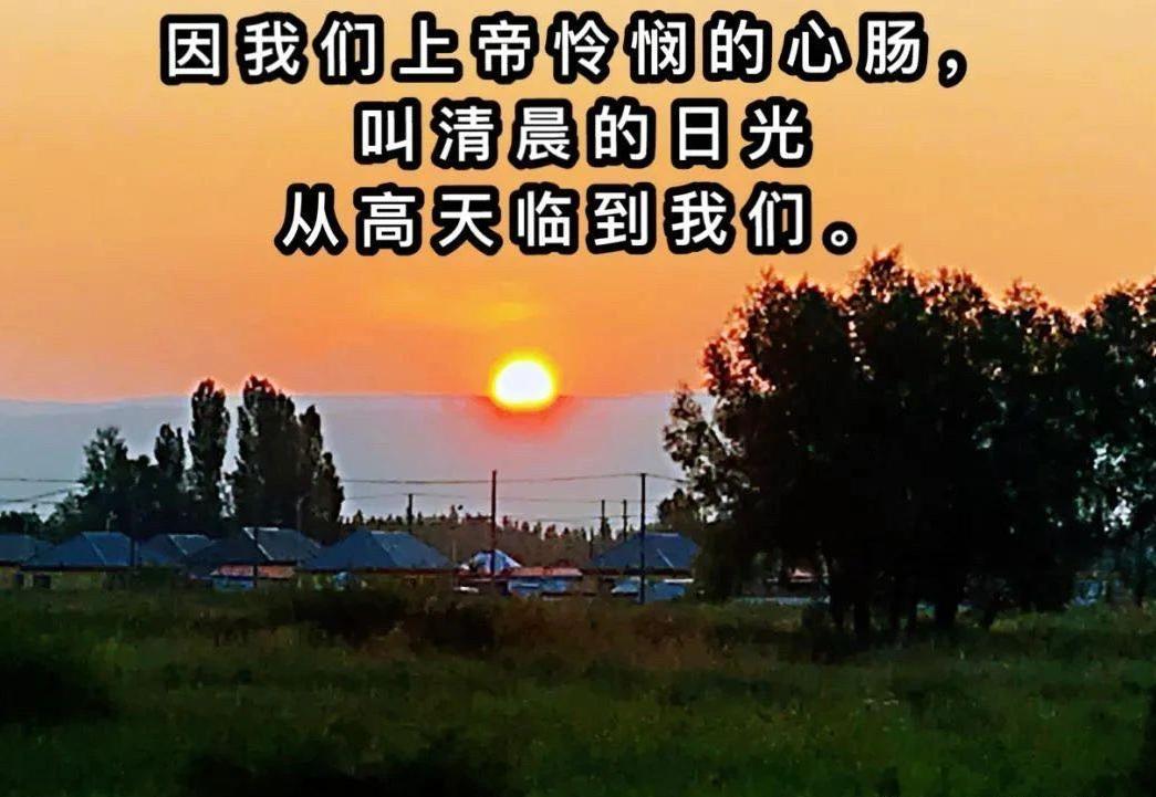 ������ߺ� �����縡��