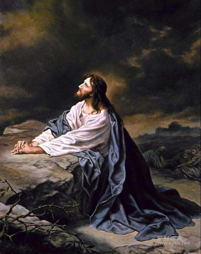  Ϊ������ ����͸�