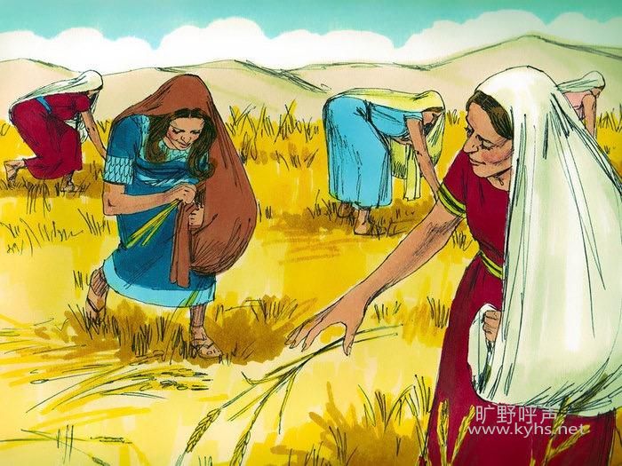 ף�����ں̳���.jpg
