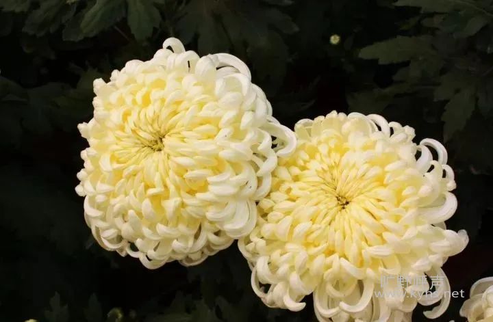 ΢��ͼƬ_20201025053331.jpg