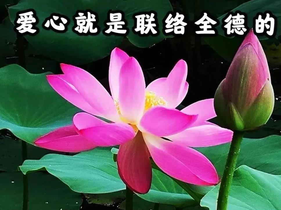 ����Ҫ�п����ʴȵ��ػ�