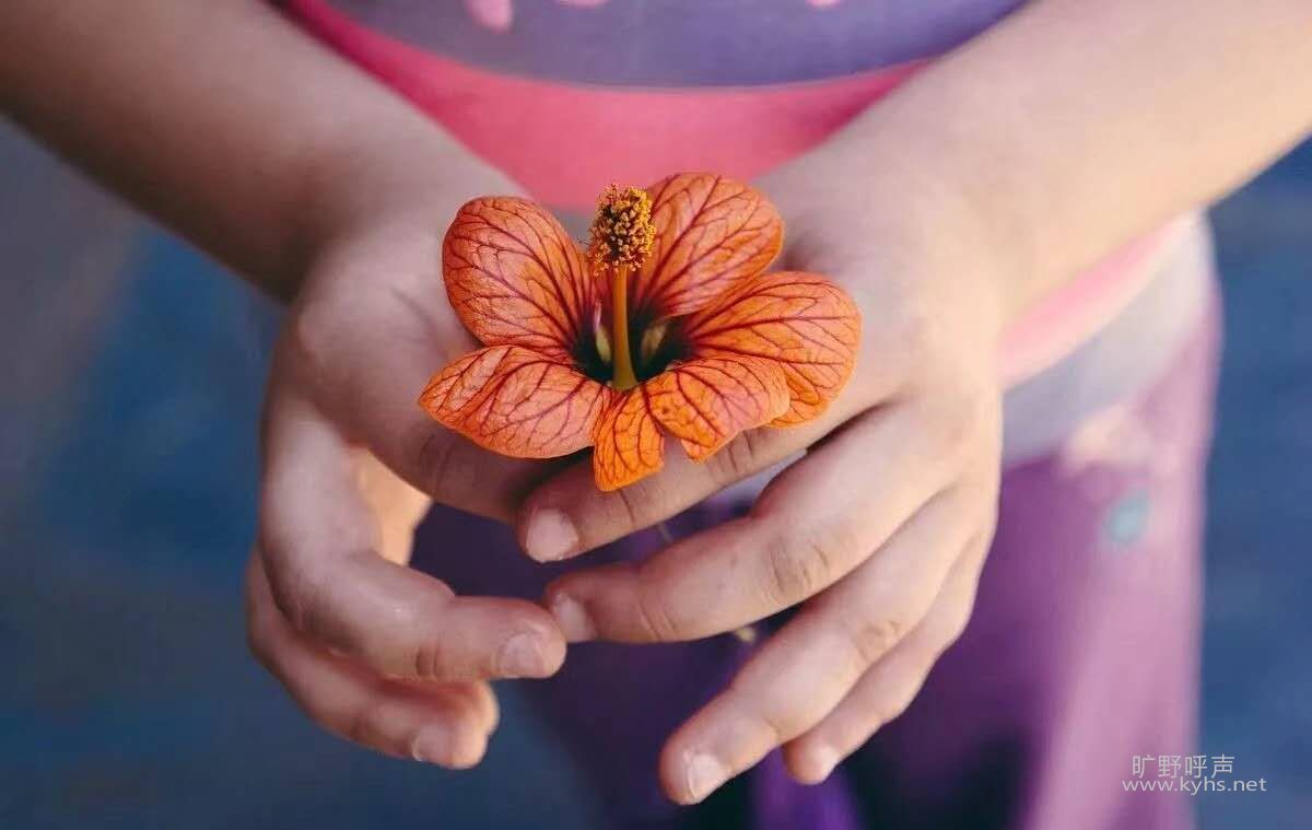 �ռ�֮�ʣ�·��˹�͸�������