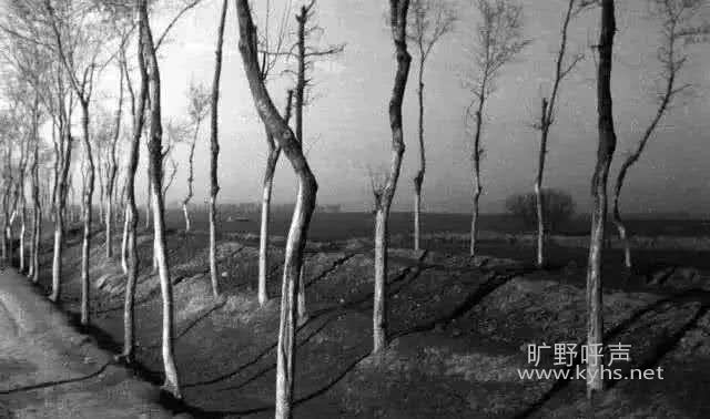 ΢��ͼƬ_20200823162945.jpg