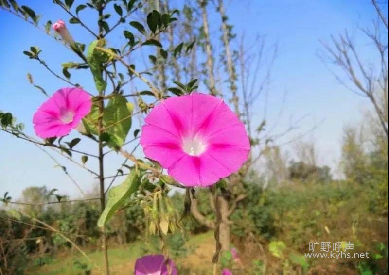 Ը��ġ��������ܡ�����һ�����õĽ��