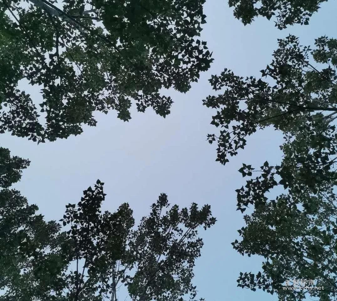 ΢��ͼƬ_20201118074134.jpg