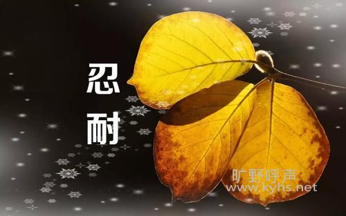 �ڻ�����Ҫ����