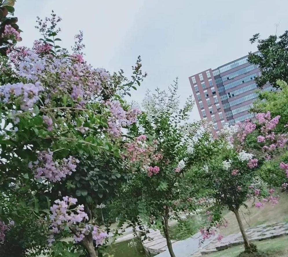 ���粻������