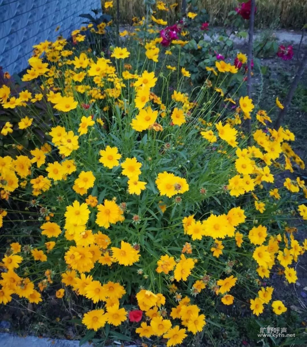 ΢��ͼƬ_20201118074151.jpg