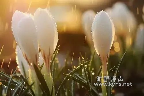 微信图片_20201110195335.jpg