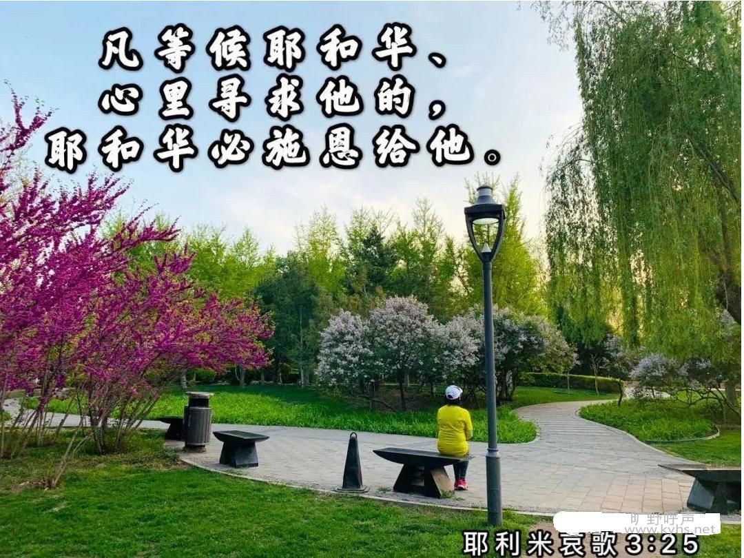 ��ʦ��СԺ