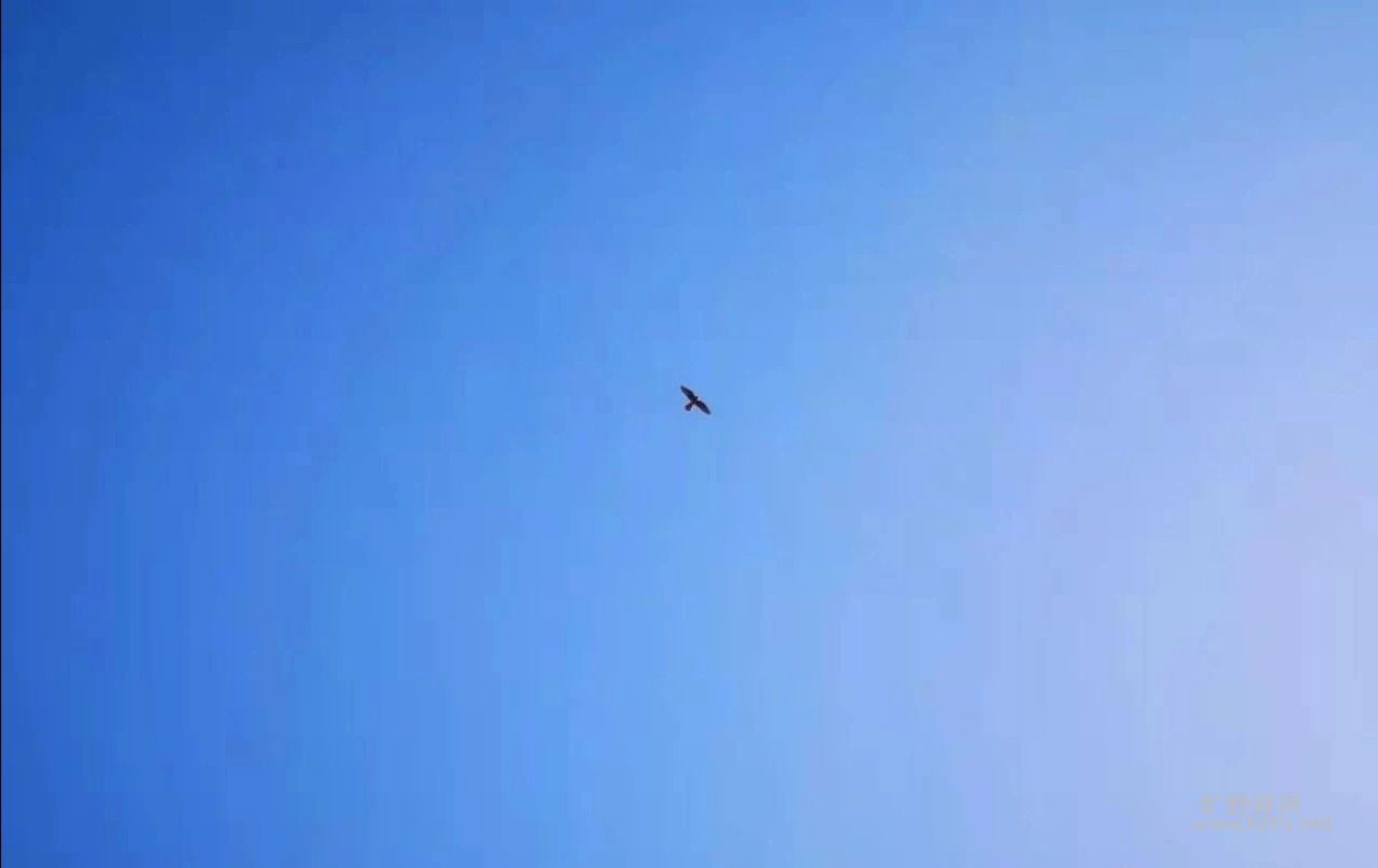 ΢��ͼƬ_20201108185206.jpg