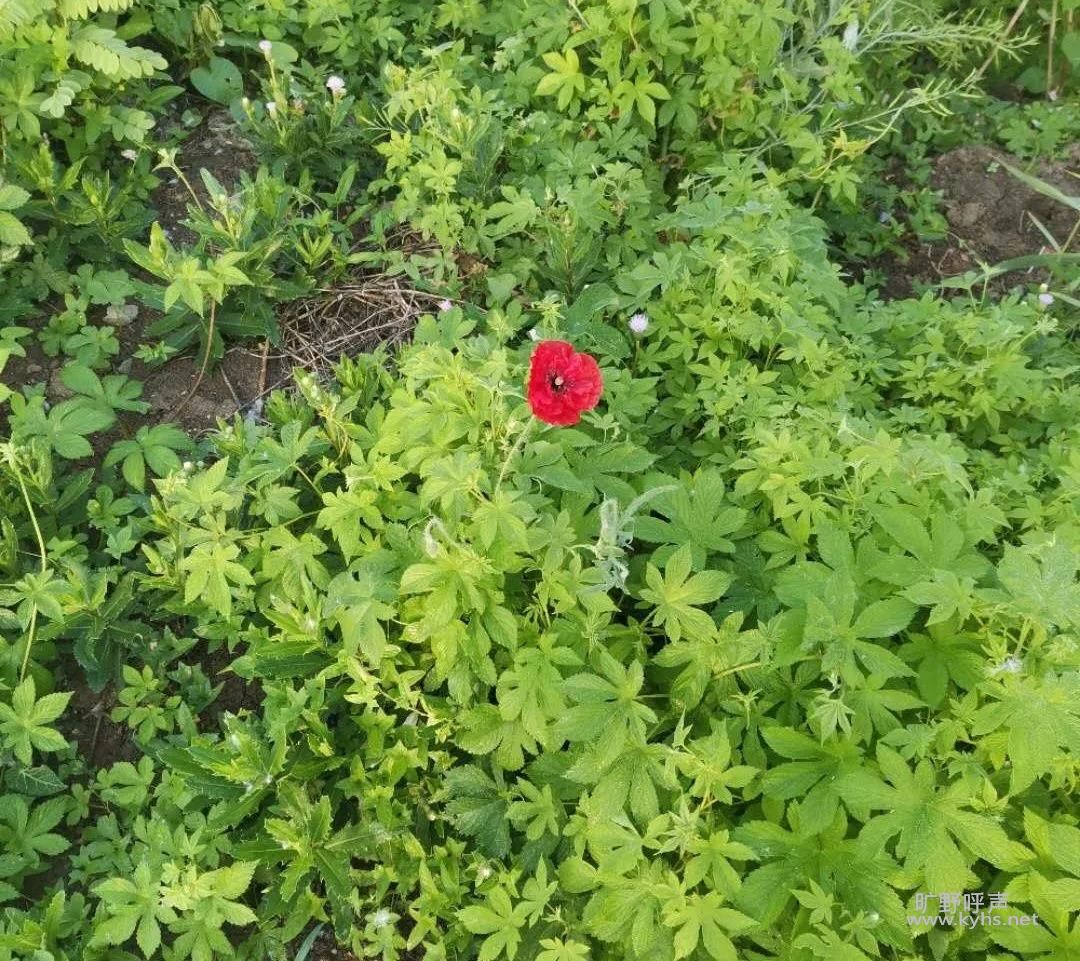 ΢��ͼƬ_20201118074139.jpg