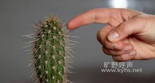 ΢��ͼƬ_20201208113401.jpg
