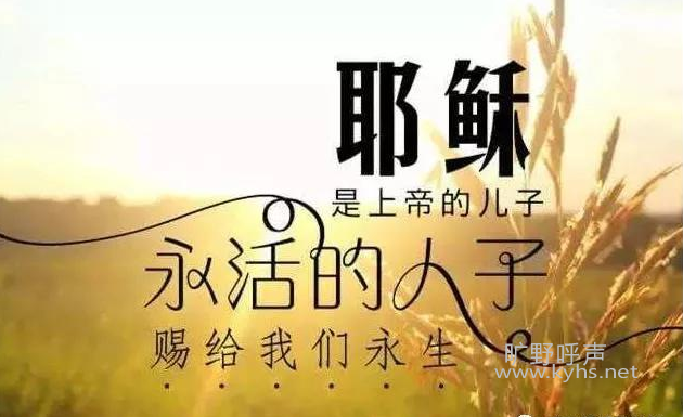 ΢�Ž�ͼ_20201201060905.png