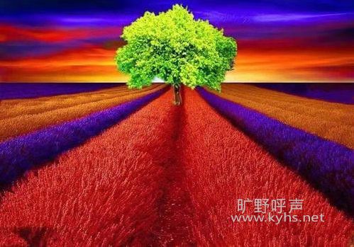 ΢��ͼƬ_20201223152501.jpg