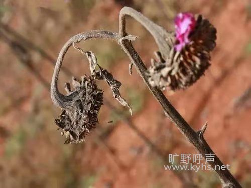΢��ͼƬ_20201223102735.jpg