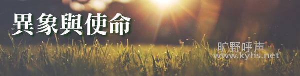 �黳����ʹ����ʹ����������
