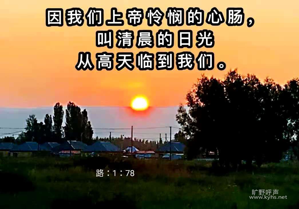 ����Ҳ����