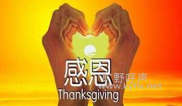 �����޸衪���ж�����