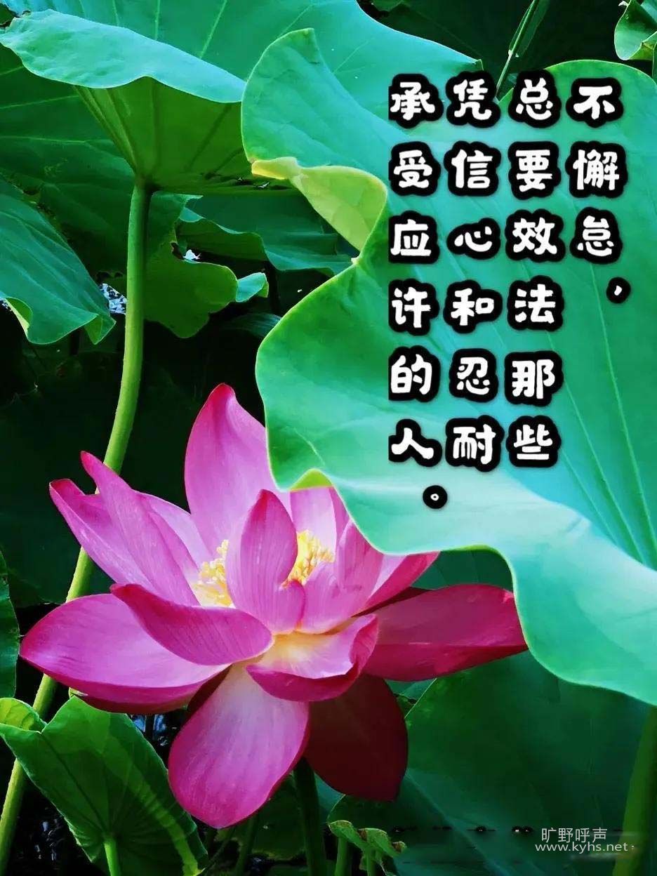 ֻҪף�� ���ɼ���
