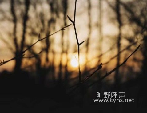 ΢��ͼƬ_20210101174931.jpg