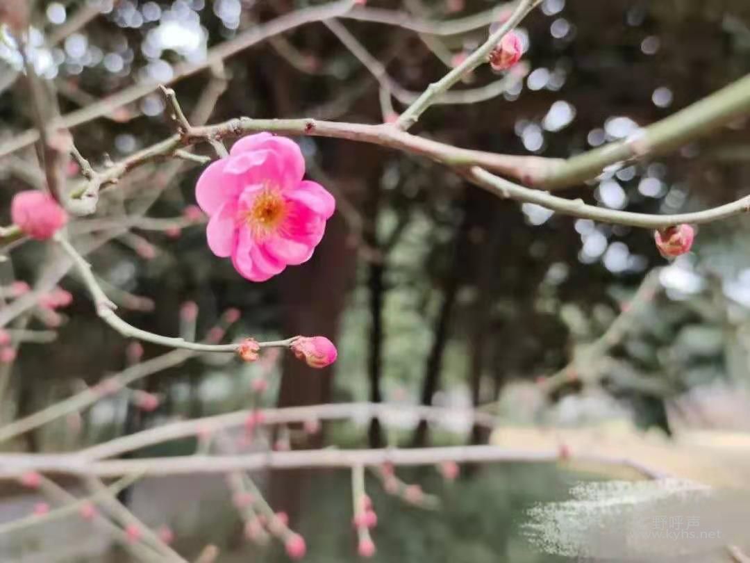 ��ʹ���У���ȻӻԾ����