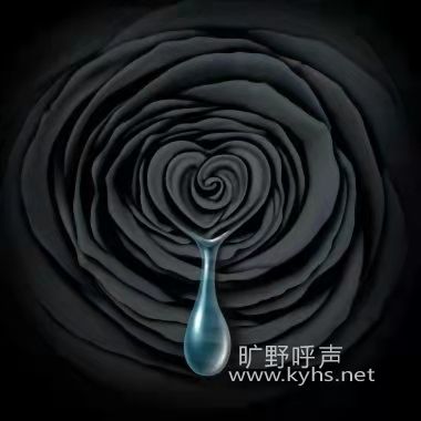�Ӳ��µ�Ѫ��
