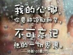 t018db26ae45091425a.jpg