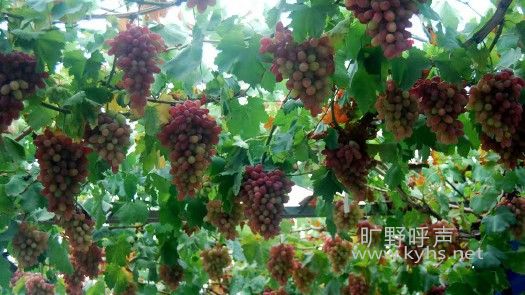 ΢��ͼƬ_20210131190638.jpg