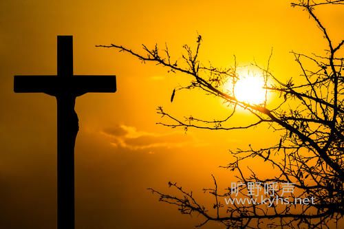 Ү�ջ���������