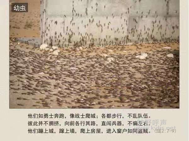 ΢��ͼƬ_20210205190208.jpg