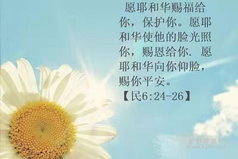 ���š�10�����ɰ���ò���ˡ��С�����2:5����7��