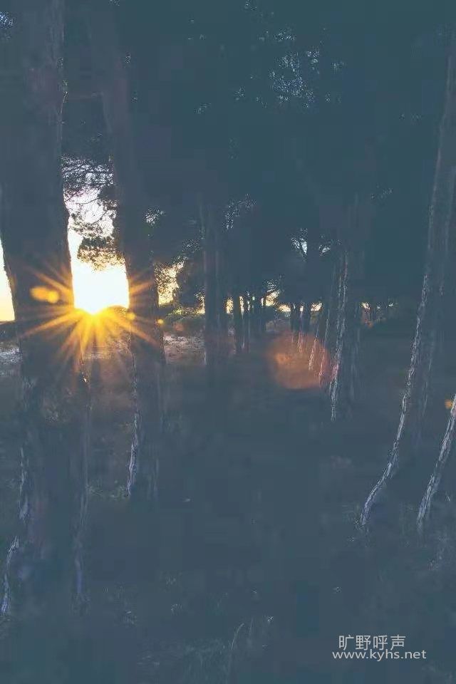 ΢��ͼƬ_20210329102952.jpg