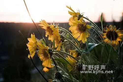 ΢��ͼƬ_20201106145453.jpg