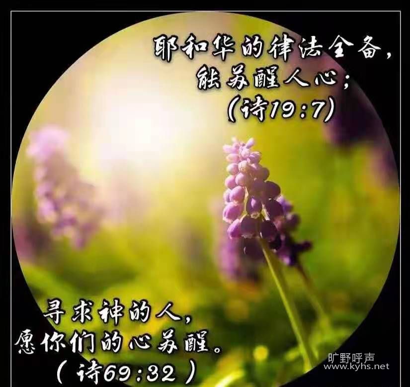 ΢��ͼƬ_20210314165951.jpg