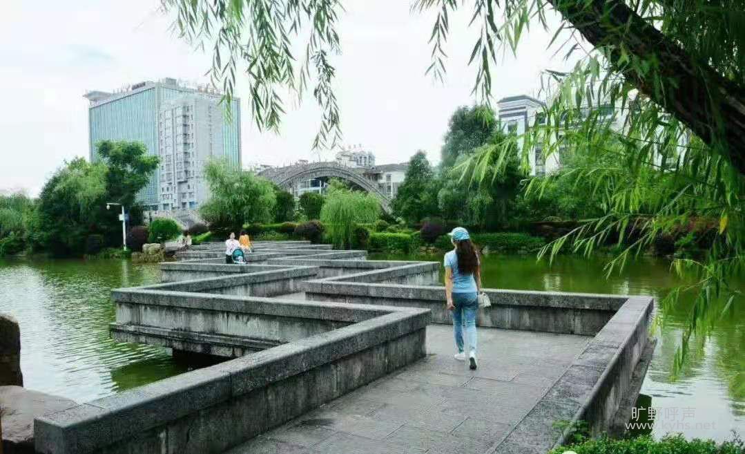 ��һ�����ѵ�������